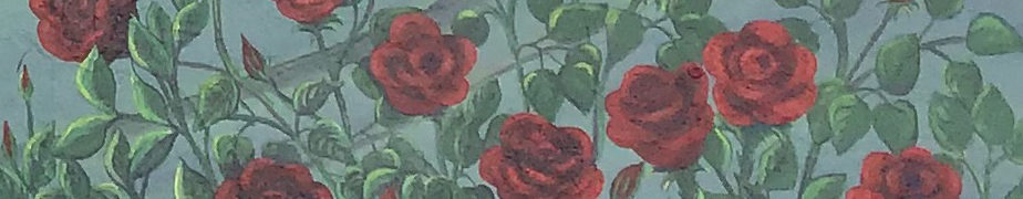 Informática adultos