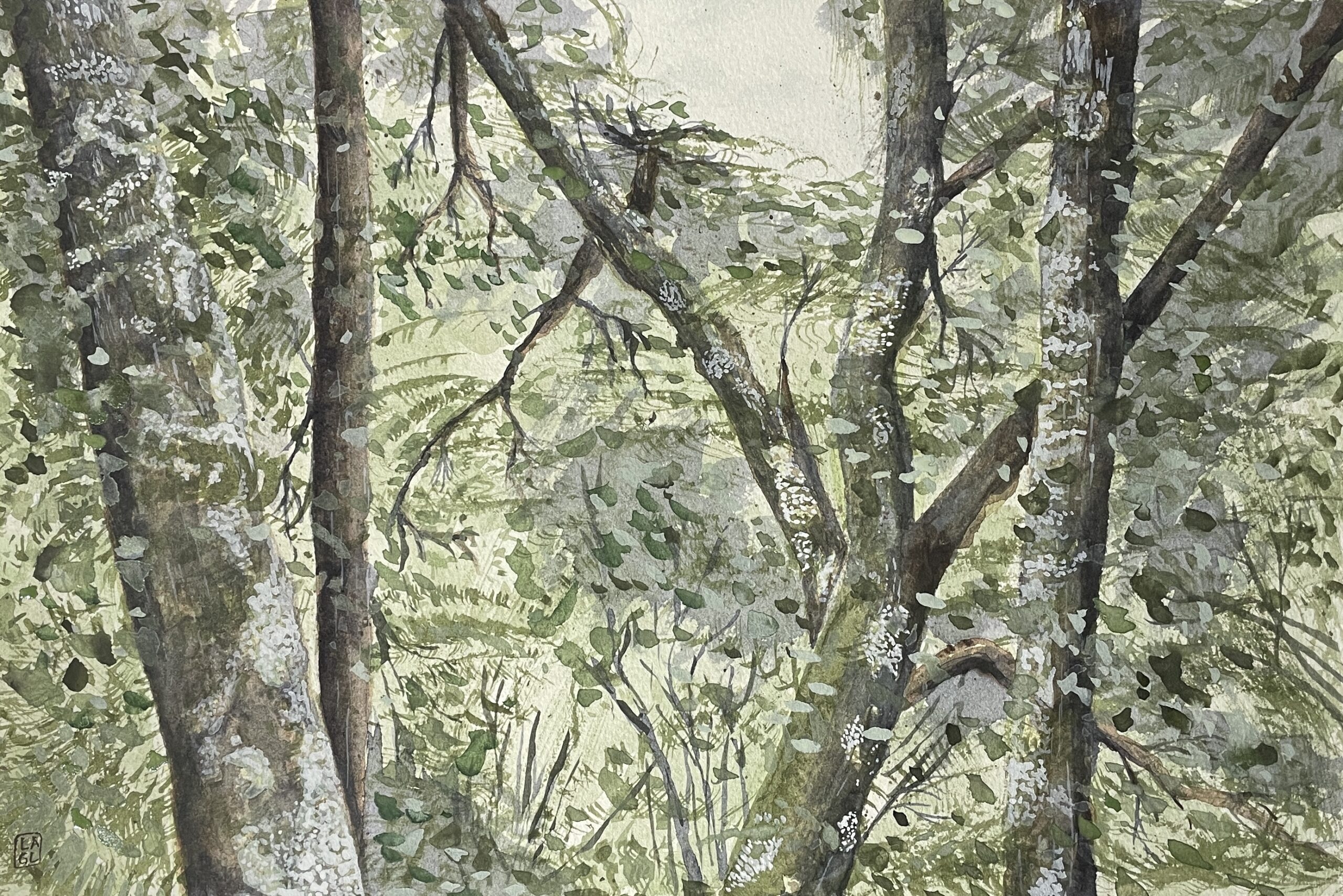 naturaleza espontánea