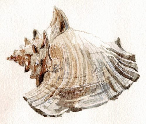 20220621123141 001-copia