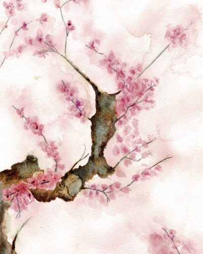 CB0556A6-0DF7-4F08-A51C-979F2F6CE9E7